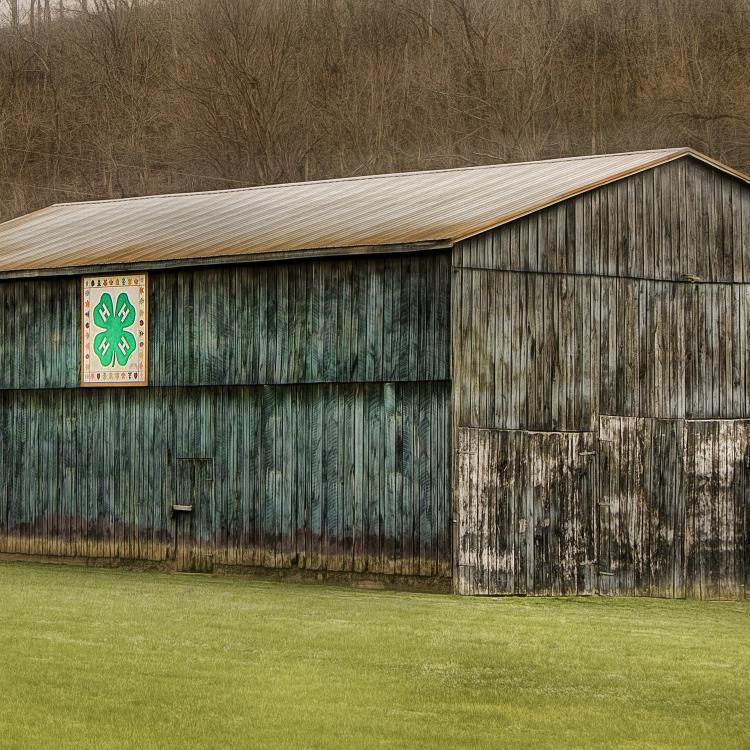  4-H Barn Quilt