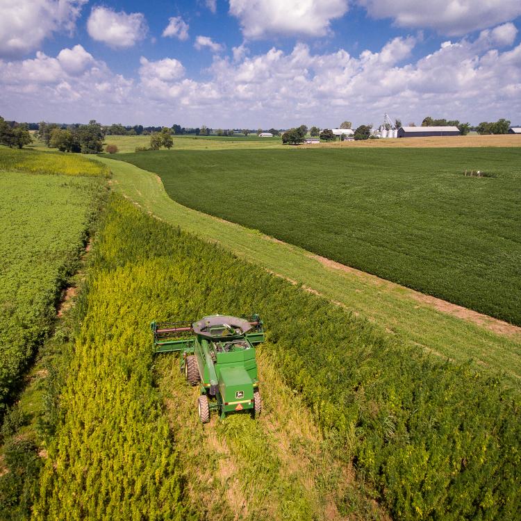  Combine in Field