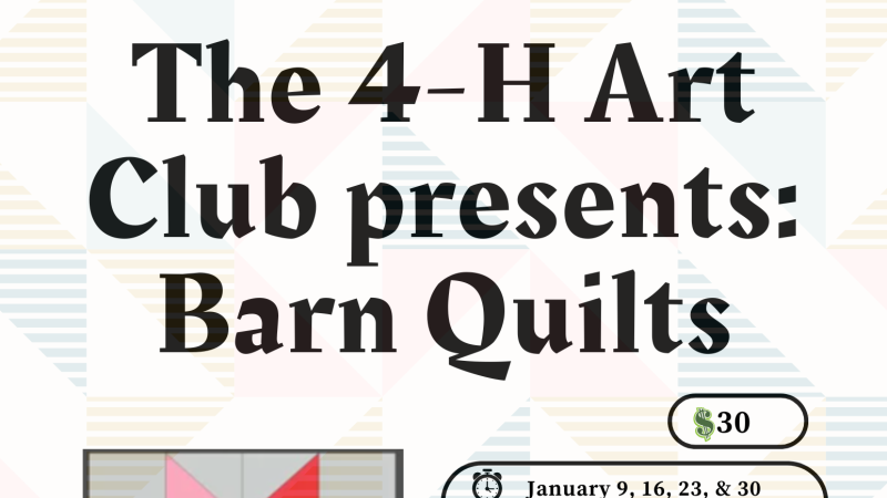 Details about the 4-H art club's January Activity. 