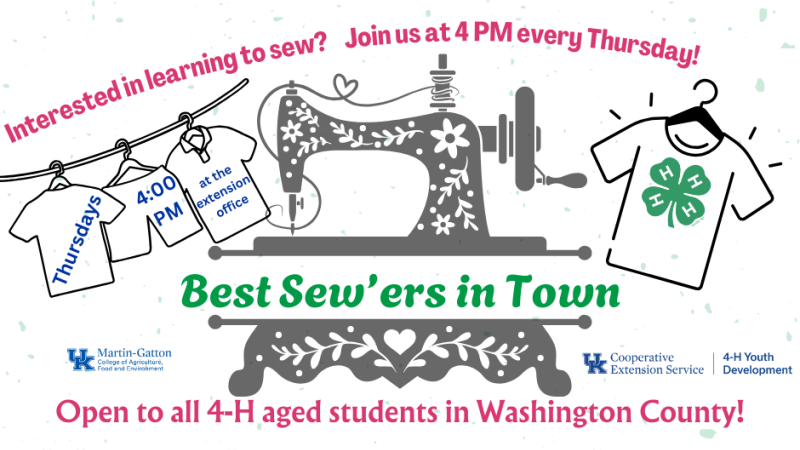 Best SEW'ers in Town