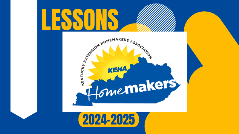 Homemaker Lessons Flyer